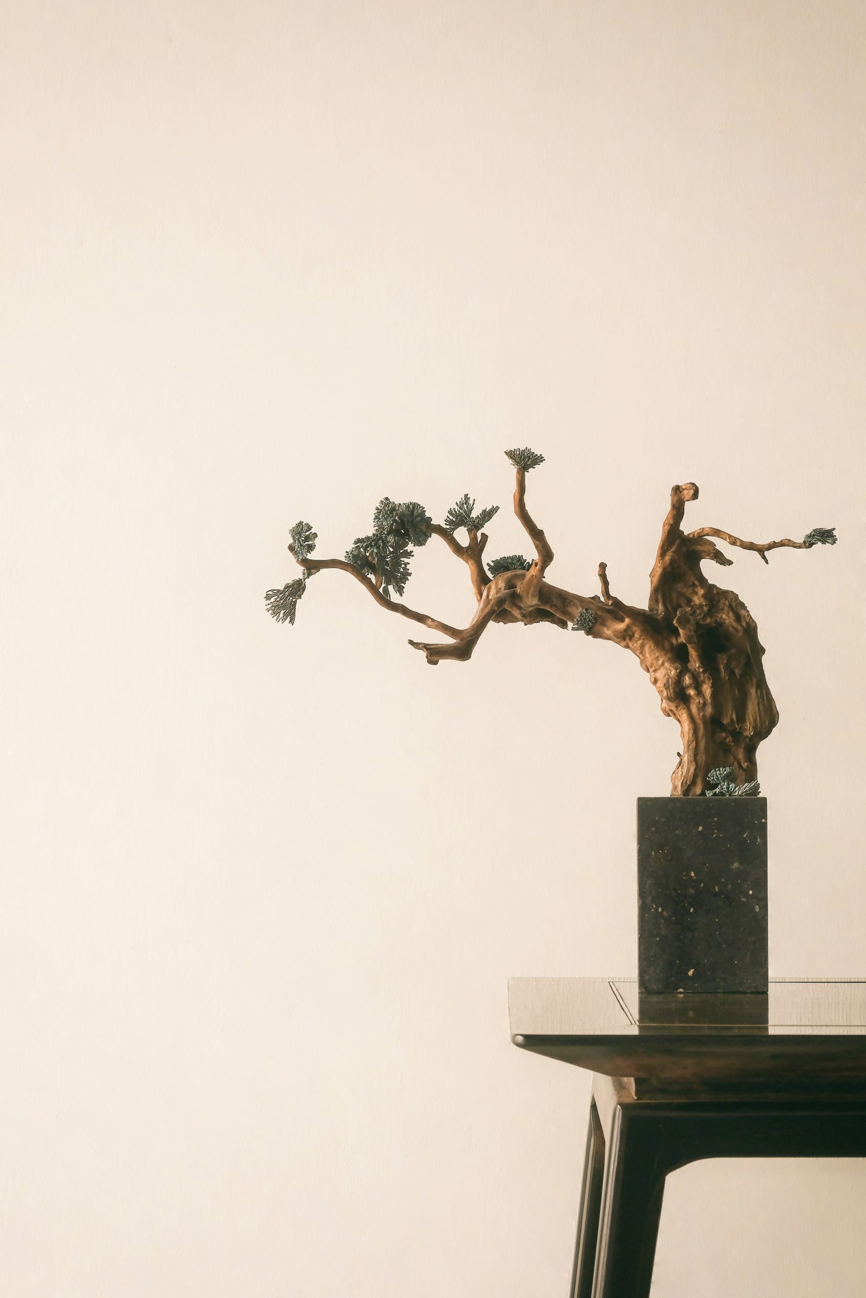 Comment se déroule une séance de MTC ?